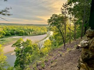 Eagle Rock Cabin Illinois River view - Tahlequah - 8