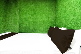 SPOT ON Hotel Shree Krishna - 1