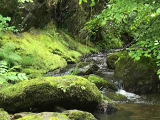 La Terrasse aux citronniers - 9