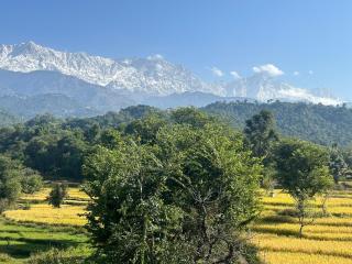 Dhauladhar Homes - 3
