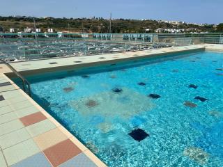 Marina Albufeira Best Apartment - Albufeira - 6