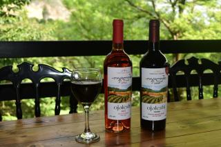 Martvili canyon cottage - Martvili - 7