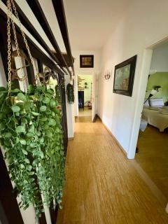Villa Magnolia - Crosano - 7