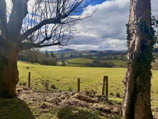 2 Bed in Llanwrtyd Wells 94009 - Beulah - 9