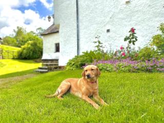 5 Bed in Kendal 88095 - Skelsmergh - 6