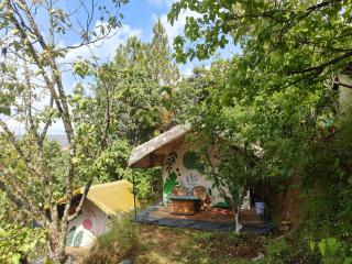 Nayantaara by lake & woods - Mukteshwar - 8