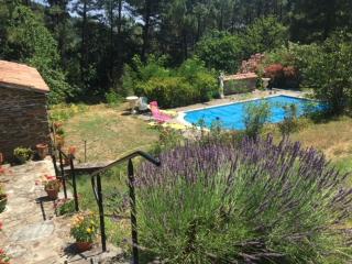 Chambres d'hôtes B&B Le Chant des Pins en Cévennes - Le Collet-de-Dèze - 0