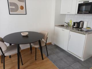 Studio at famous Storchengasse - Stork 44 - Zürich - 4