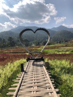 Pura Vida Pai Resort - Pai - 9