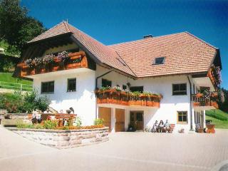 Comfortable holiday home in a beautiful location - 8