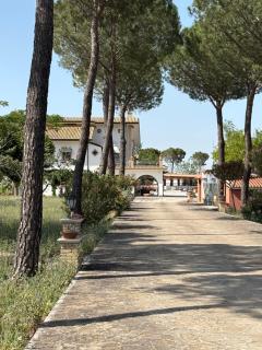 Masseria I Pini - Biccari - 0