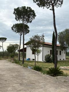 Masseria I Pini - 9
