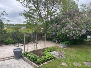 Cozy Beach Cottage in Grammahagen - 6