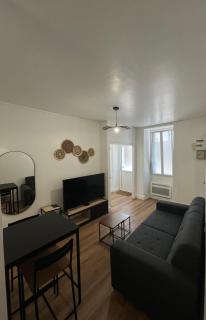 Bel appartement dans l’hyper centre de Nantes - Nantes - 8