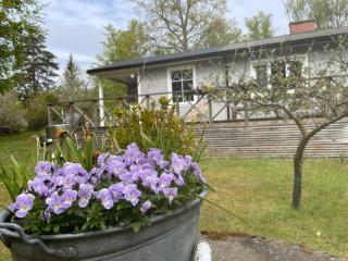 Holiday home RONNEBY VIII - Ronneby - 2