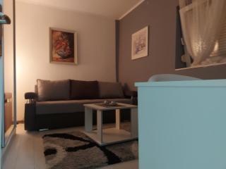 City for two Apartment with parking - Novi Sad - 4