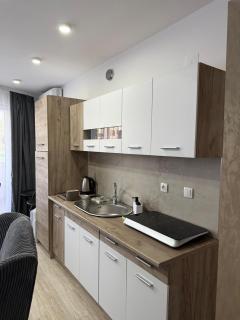 Aria - Veliko Gradiste - 5