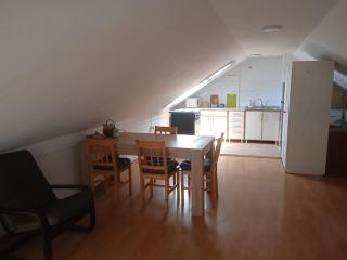 Duplex Novi Sad Centre - Novi Sad - 4