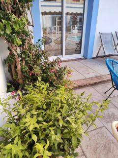 Apartamentos Atenea Jerte - Jerte - 1