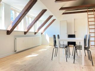 Spacious Apartment for 6 - 9