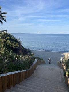 Les jardins de la mer marine de Bravone - Linguizzetta - 7