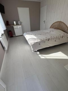 Chambre avec douche, WC et terrasse privative - Saint-Vincent-de-Tyrosse - 8