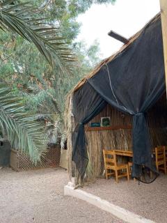 Palm nest home - Dahab - 6