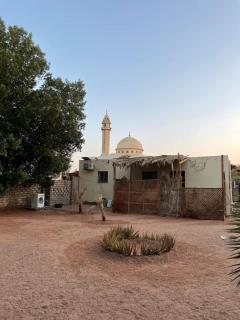 Palm nest home - Dahab - 1