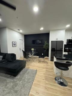Lofts at Arlington Unit 2 - Arlington - 3