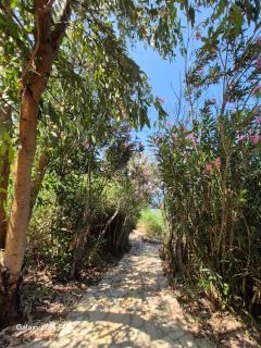 Tritsili house - Koroni - 8