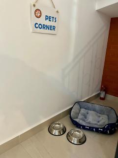 Casa p6 cn asador Netflix lavadora estacionamiento - San Miguel de Allende - 4