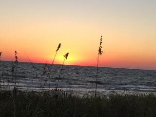 Gone Shellin' - Coastal Joe Vacation Rentals - 3