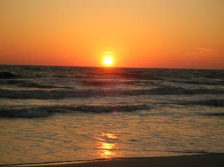 Gone Shellin' - Coastal Joe Vacation Rentals - Cape San Blas - 5