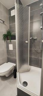TOP KaVi apartments #5, Pool, Sauna und Fitness FREE, 2-Zimmer - Sankt Englmar - 4