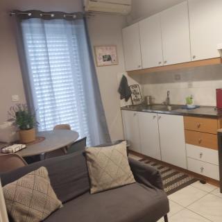 Central Aquarium - 6