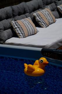 IKARUS apartment with courtyard & pool in Chania - Stérnai - 3