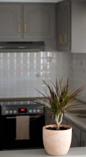 IKARUS apartment with courtyard & pool in Chania - Stérnai - 1