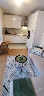 Apartman AURELIUS - Vinkovci - 0