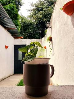 Apartamento El Amate - San Pedro La Laguna - 7