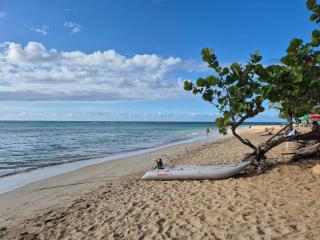Large 3-bedroom apartment - Las Terrenas - 5