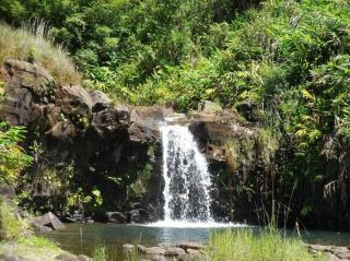 Kikala Waterfall Lodge - Hilo - 9