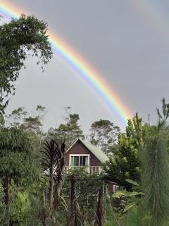 Kikala Waterfall Lodge - Hilo - 7