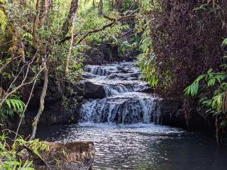 Kikala Waterfall Lodge - Hilo - 4