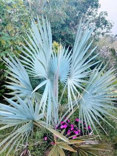 Kikala Waterfall Lodge - 8