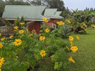 Kikala Waterfall Lodge - Hilo - 2