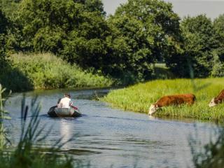 Glamping Tent in Netherlands with Pop-Up Charm - Zuna - 8
