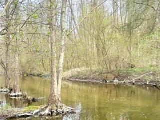 A wooden, eco-friendly house by the Goszcza lake Living room, 2 bedrooms - Lubrza - 2