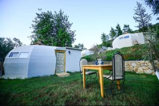 OLİMPOS VİTA NOVA HoTEL - Kumluca - 4