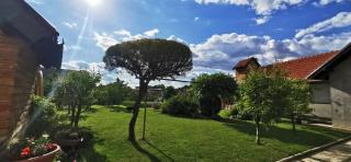 Apartman AURELIUS - Vinkovci - 1