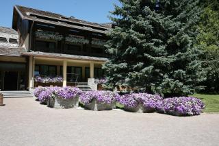 Palace Hotel Wellness & Beauty - Bormio - 7